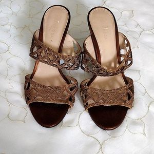 Pelle moda bronze color high heel with straps shoes